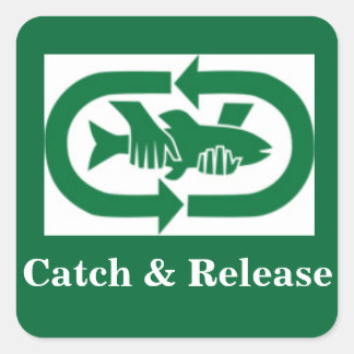 Autocollant "Catch & Release"