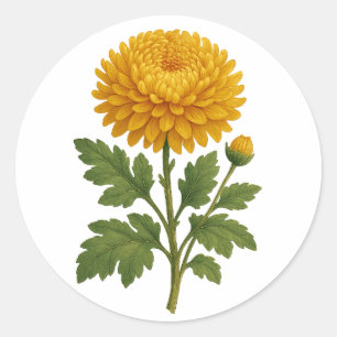 Autocollant Chrysanthème vintage - rond