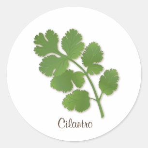 Autocollant Cilantro