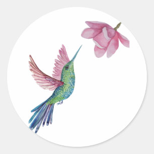 Autocollant colibri