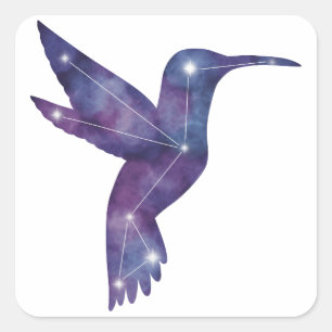 Autocollant Constellation de colibri
