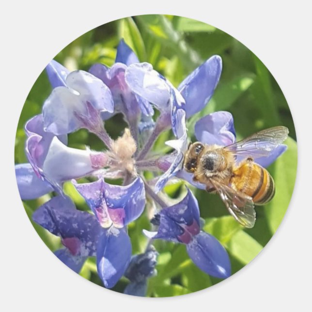 Autocollant d'abeille au miel (Devant)