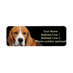 Autocollant d'adresse de beagle