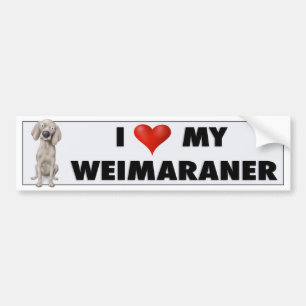 Autocollant d'amour de Weimaraner