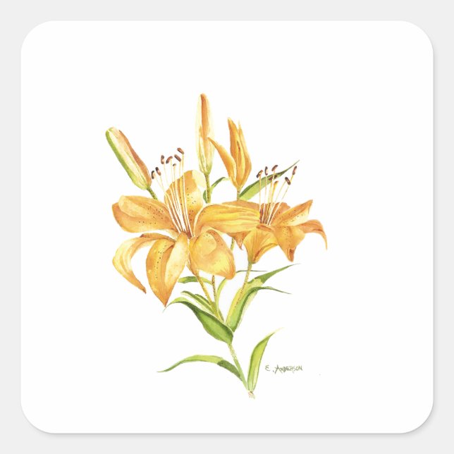 Autocollant de carré d'aquarelle de fleurs de tigr (Devant)