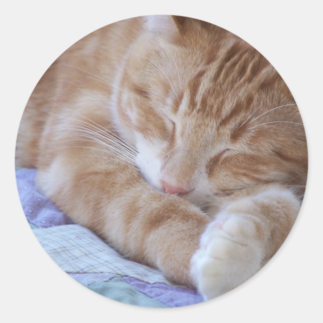 autocollant de chat de couchage (Devant)