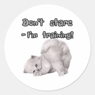 Autocollant de chat drôle