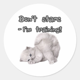 Autocollant de chat drôle