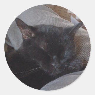Autocollant de chat endormi