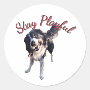 Autocollant de chien joueur restez