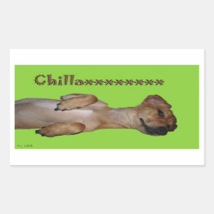 Autocollant de Chillaxin Chiweenie