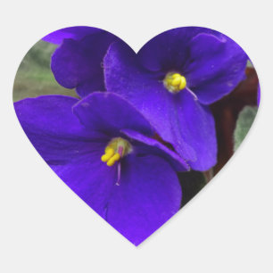 Autocollant de coeur de violette africaine
