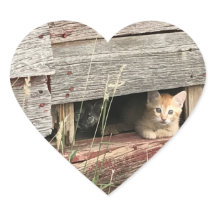 Autocollant de coeur Kitten