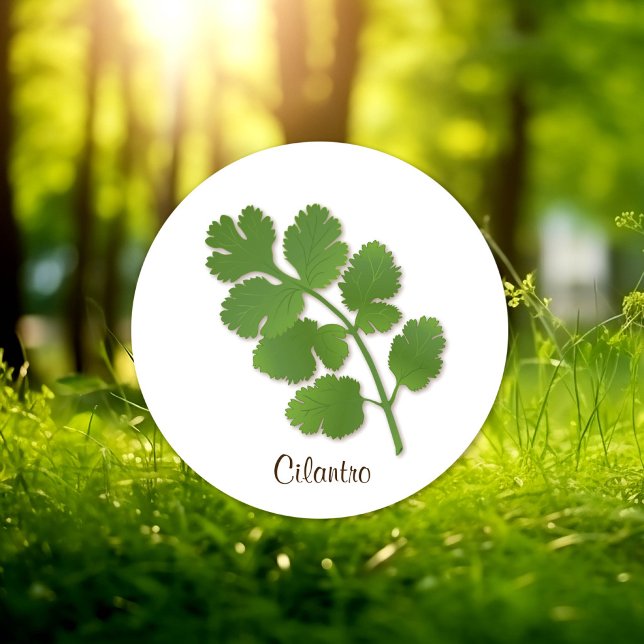 Autocollant de coriandre (Cilantro Herb Sticker, aromatic leaves with a distinctive flavor. )