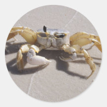 Autocollant de crabe