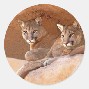 Autocollant de deux lions de montagne