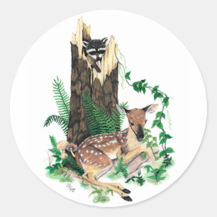 Autocollant de faon et de raton laveur de cerf de
