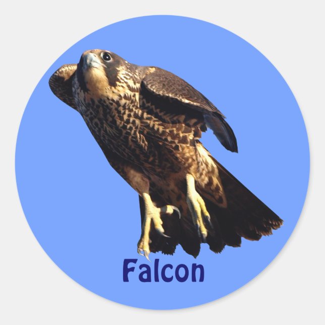 Autocollant de faune du raptor Falcon (Devant)