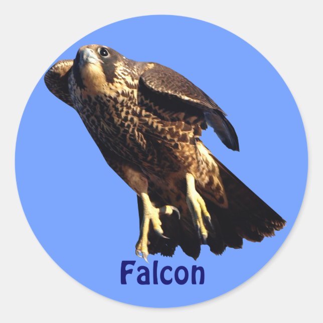 Autocollant de faune du raptor Falcon (Devant)