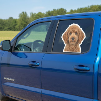 Autocollant de fenêtre de voiture avec photo de co