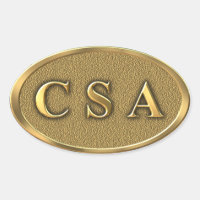 Autocollant de guerre civile CSA
