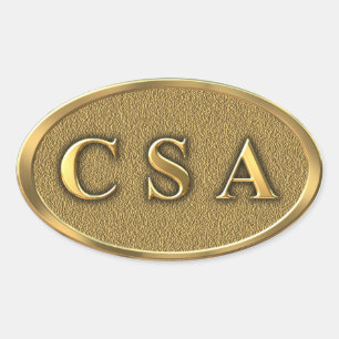 Autocollant de guerre civile CSA