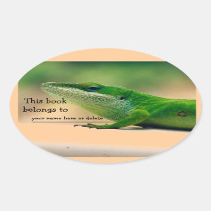 Autocollant de livre d'Anole d'amant de lézard