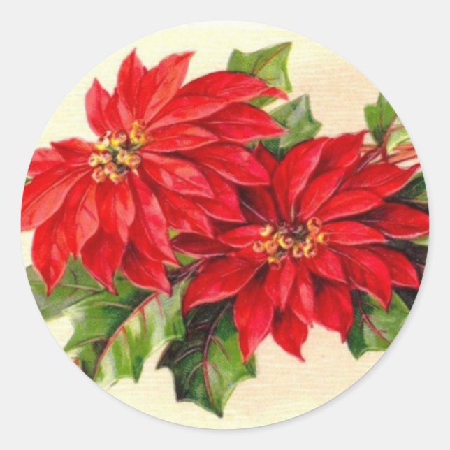 Autocollant de Noël de Poinsettia victorienne (Devant)