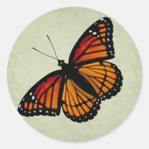 Autocollant de papillon de monarque