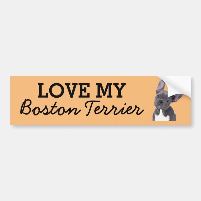 Autocollant de pare-chocs Boston Terrier (Devant)