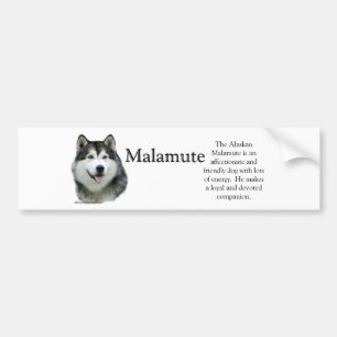 Autocollant de pare-chocs de l'Alaska