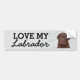 Autocollant de pare-chocs Labrador