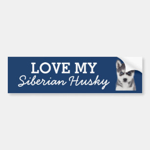 Autocollant de pare-chocs Sibérien Husky