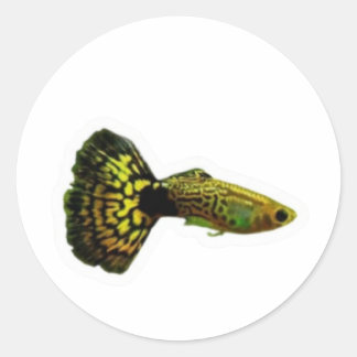 Autocollant de poisson Guppy Cobra jaune élégant,