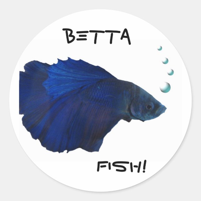 Autocollant de poissons de Betta (Devant)