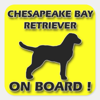 Autocollant de rétrificateur Chesapeake Bay