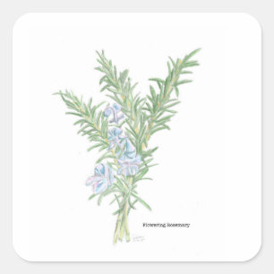 Autocollant de romarin à fleurs