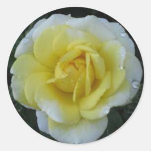 Autocollant de rose jaune