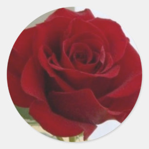 Autocollant de rose rouge