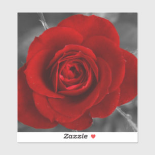 Autocollant de rose rouge