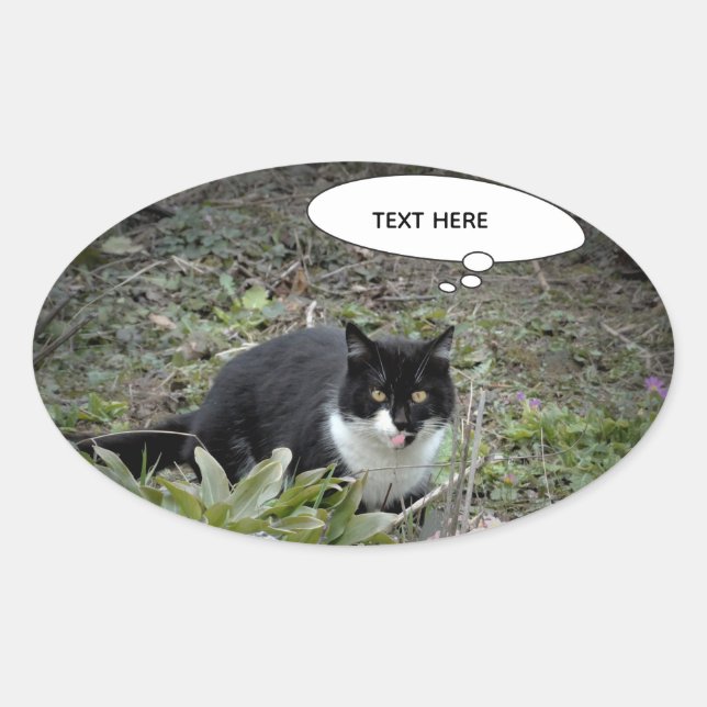 Autocollant de texte personnalisé de photo de chat (Devant)