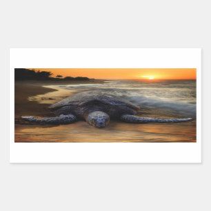 Autocollant de tortue de mer de coucher du soleil