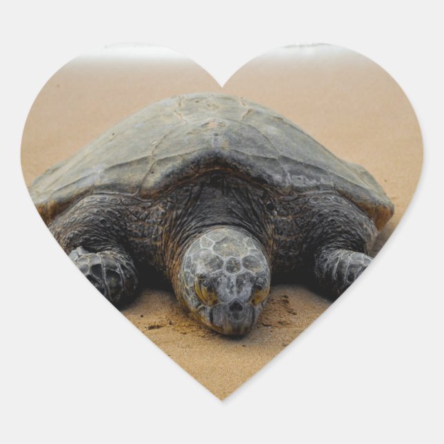 Autocollant de tortue de mer en voie de disparitio (Devant)