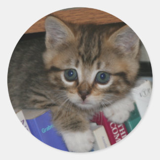 Autocollant de ver de livre