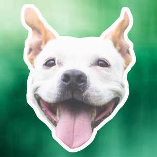 Autocollant de visage personnalisé, visage de chie