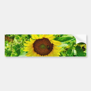 Autocollant De Voiture Abeille sur tournesol jaune