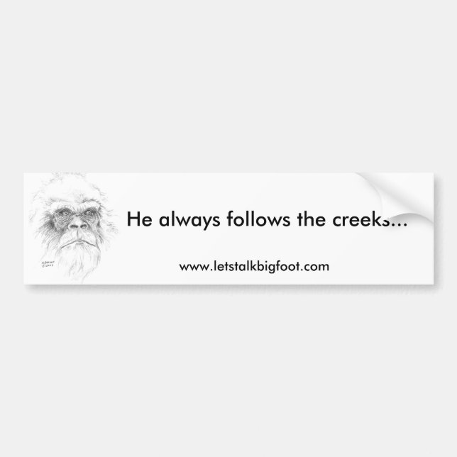 Autocollant De Voiture Adhésif pour pare-chocs (Devant)