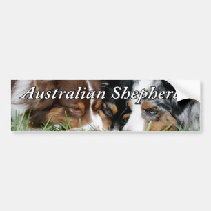Autocollant De Voiture Adhésif pour pare-chocs australien de berger