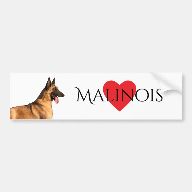 Autocollant De Voiture Adhésif pour pare-chocs belge de Malinois de (Devant)