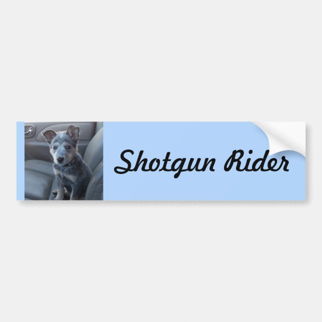 Autocollant De Voiture Adhésif pour pare-chocs bleu de chiot de Heeler (Devant)